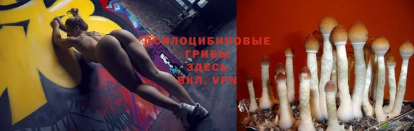альфа пвп Карталы