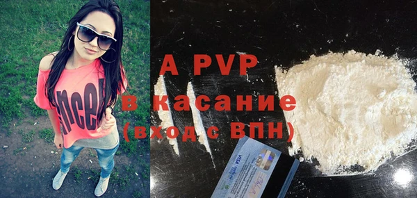 спайс Касимов