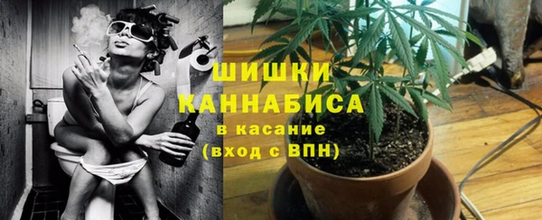 спайс Касимов
