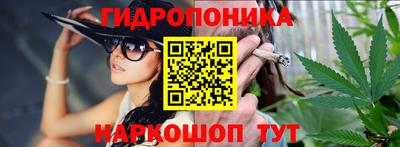 шишки Моздок