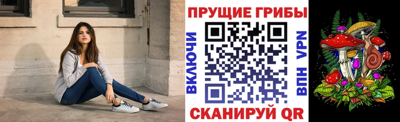 Галлюциногенные грибы прущие грибы  хочу наркоту  МЕГА зеркало  Кизляр 